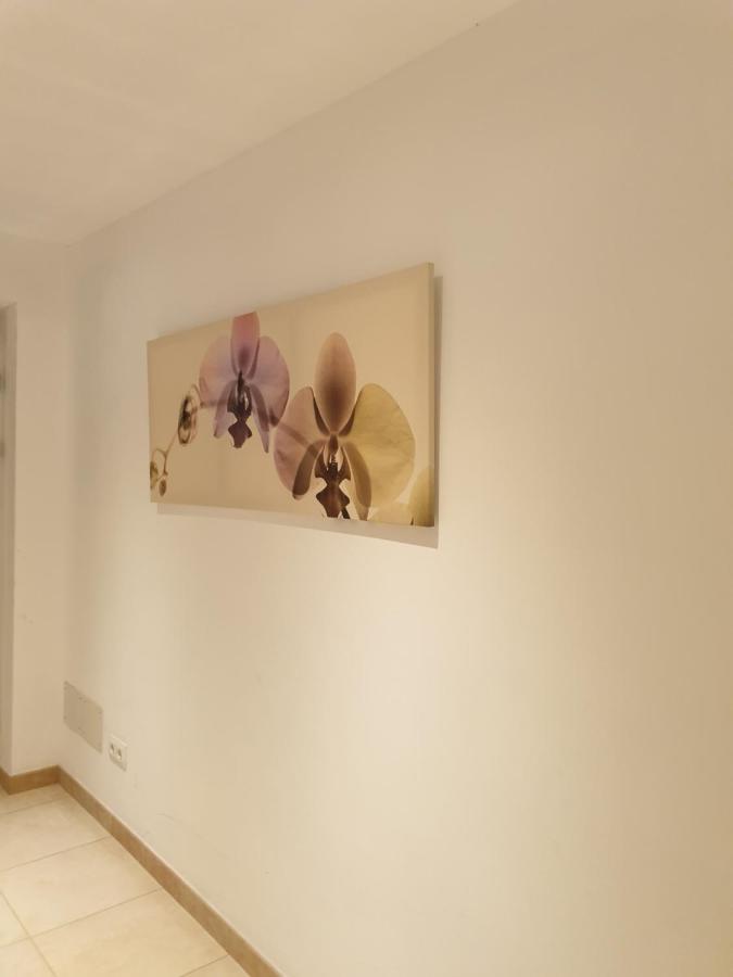 Hostal Maracaibo Can Pastilla  Εξωτερικό φωτογραφία